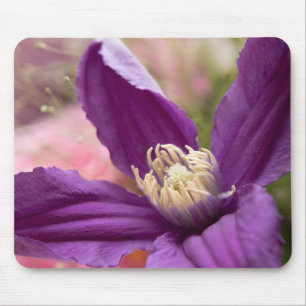 paarse Clematis Macro - Elegante Bloemen Muismat