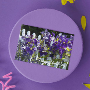 Paarse "Clematis" op de witte flora van de zaterda Kaart