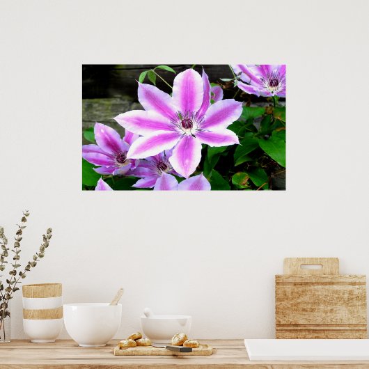 Paarse Clematis-Poster voor foto's/afdrukken Poster (Keuken)
