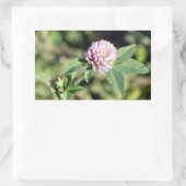 Paarse Clover Wildflower Foto Rechthoekige Sticker (Tas)