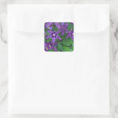 Paarse Columbines - Vierkante Sticker (Tas)