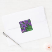 Paarse Columbines - Vierkante Sticker (Envelop)