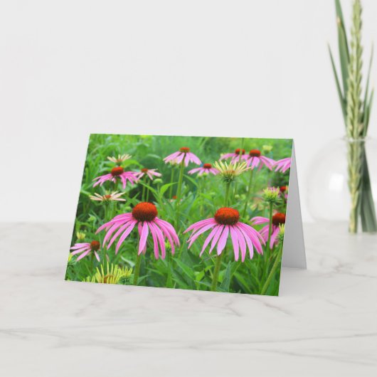 Paarse Coneflowers Bedankkaart (Voorkant)