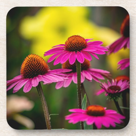 Paarse conflower bier onderzetter (Voorkant)