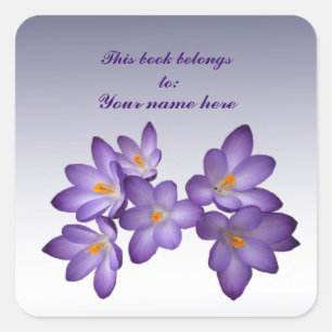 Paarse Crocus Bookplaat Vierkante Sticker