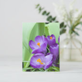 Paarse Crocus Flowers Briefkaart (Staand voorkant)