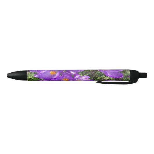 Paarse Crocus Pen (Bodem)