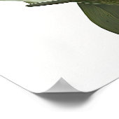 Paarse Curcuma Bloem Art Print Poster (Hoek)