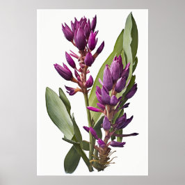 Paarse Curcuma Bloem Art Print Poster