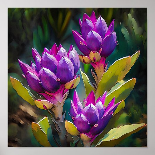 Paarse Curcuma Bloem Art Print Poster (Voorkant)