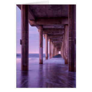 Paarse dageraad bij Scripps Pier