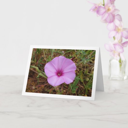Paarse Dagwinde, Malva Winde Wilde Bloem Kaart (Orchidee)