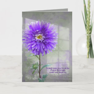Paarse Dahlia in Window Shadow Card Kaart