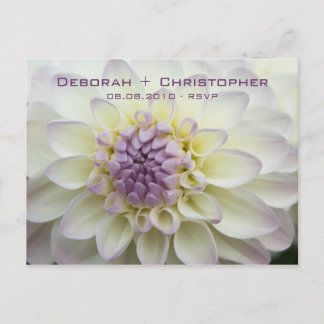 Paarse Dahlia · RSVP-Briefkaart Uitnodiging Briefkaart