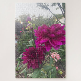 Paarse Dahlia, San Mateo Legpuzzel