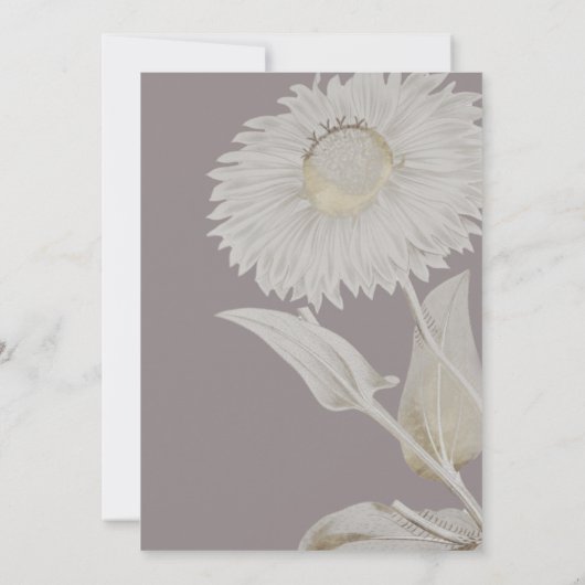 Paarse Daisy Antiek Weddenschap Uitnodiging (Achterkant)