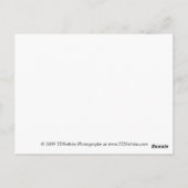 Paarse Daisy Briefkaart Gifts (Achterkant)