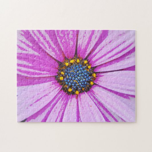 Paarse Daisy Flower Art puzzel (Horizontaal)