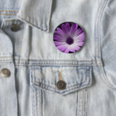 Paarse Daisy Flower Button (In situ)