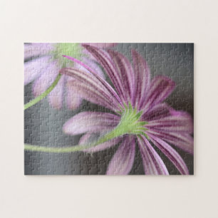 Paarse Daisy Flower - Natuur Fotografie Legpuzzel