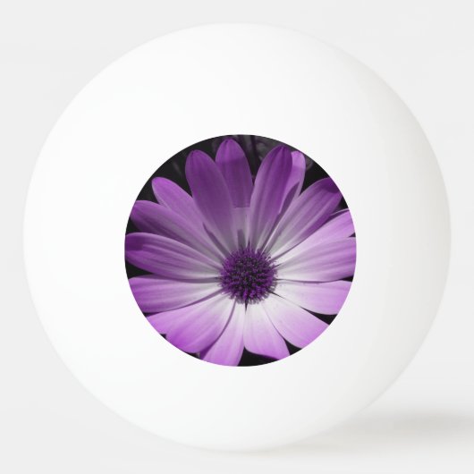 Paarse Daisy Flower Ping Ball (Voorkant)