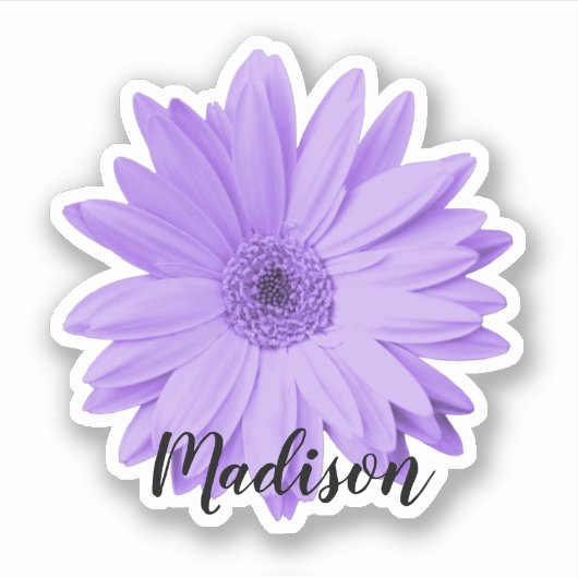 Paarse Daisy Flower Sticker (Voorkant)