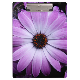 Paarse Daisy Klembord
