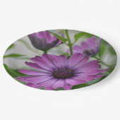 Paarse Daisy Papieren Bordje (Gekanteld)