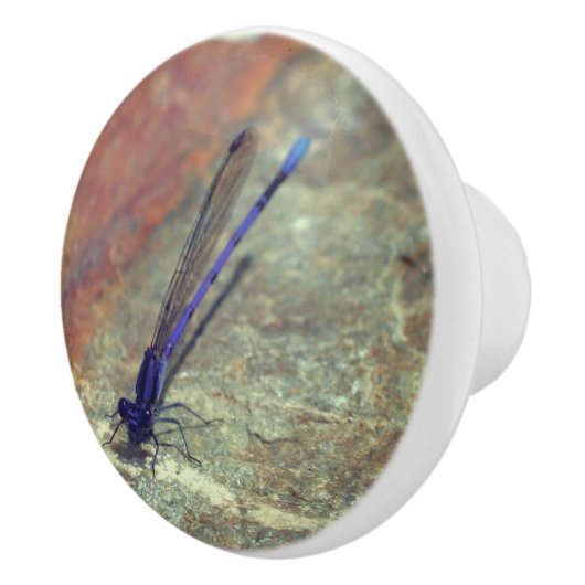 Paarse Damselfly gooit de rots dicht Keramische Knop (Rechts)