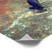 Paarse Damselfly gooit de rots dicht Poster (Hoek)