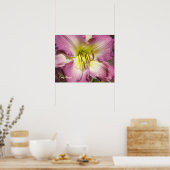Paarse Daylily Poster (Keuken)