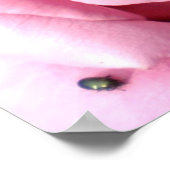 Paarse delinquentie poster (Hoek)