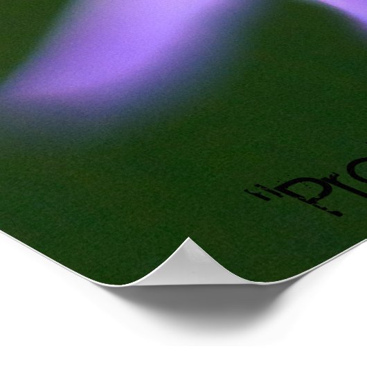 " Paarse dingen" van Andrew Gettler Poster (Hoek)