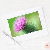 Paarse distelbloem Sticker (Envelop)