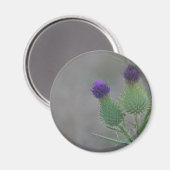 Paarse distels magneet (Voorkant / Achterkant)