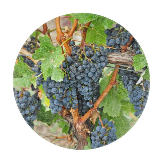 Paarse druiven snijplank (Voorkant)