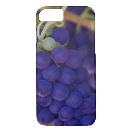 Paarse druiventrossen op wijn Case-Mate iPhone case (Achterkant)