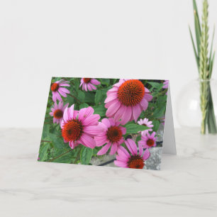 Paarse Echinacea ecclesiastes Bijbelvers Verjaarda Kaart