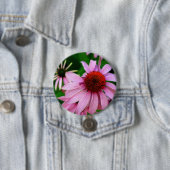 paarse echinacea ronde button 7,6 cm (In situ)