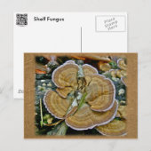 Paarse Edge Shelf Fungus Coördinatiepunten Briefkaart (Voorkant / Achterkant)