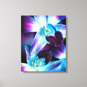 Paarse en blauwe dendrobiumorchidee-orchidee canvas afdruk