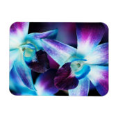 Paarse en blauwe dendrobiumorchidee-orchidee magneet (Horizontaal)