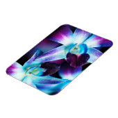 Paarse en blauwe dendrobiumorchidee-orchidee magneet (Linkerzijde)