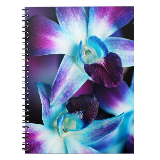 Paarse en blauwe dendrobiumorchidee-orchidee notitieboek (Voorkant)