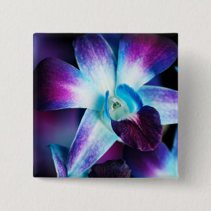 Paarse en blauwe dendrobiumorchidee-orchidee vierkante button 5,1 cm