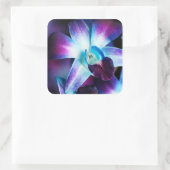 Paarse en blauwe dendrobiumorchidee-orchidee vierkante sticker (Tas)
