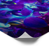 Paarse en blauwe orchideeën poster (Hoek)