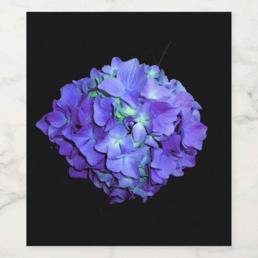 Paarse en blauwgroen hydrangea, paarse blauwe bloe wijn etiket (Enkel label)