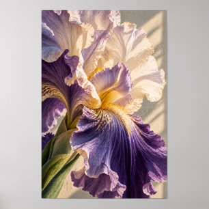 Paarse en Crème Baardiris Close-Up Botanische W Poster