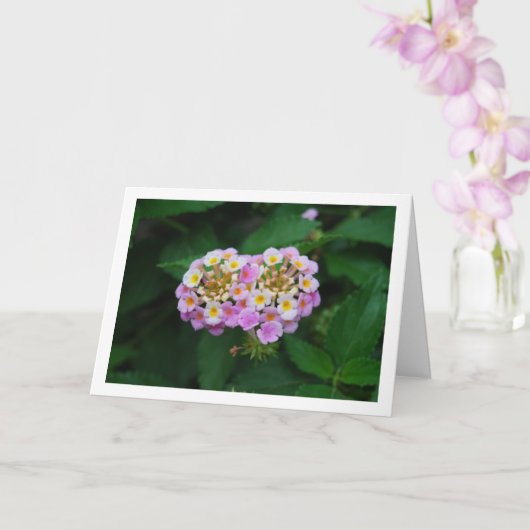 Paarse en geel Lantana Flowers Kaart (Orchidee)